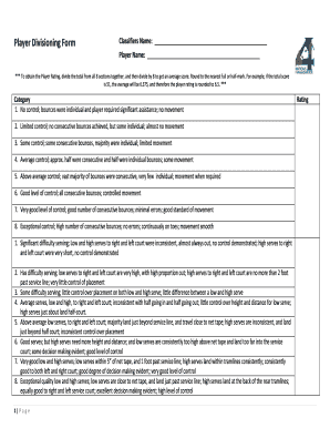 Player Divisioning Form