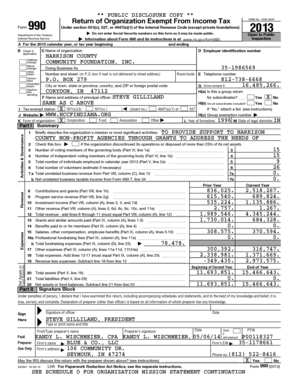 IRS Form 990 2013