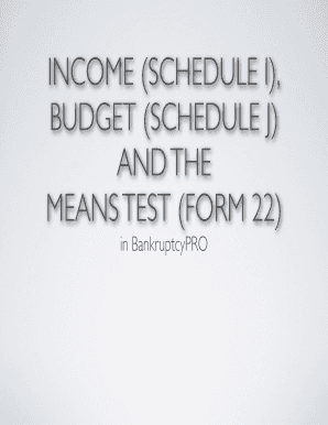 Bankruptcy Income and Budget Form