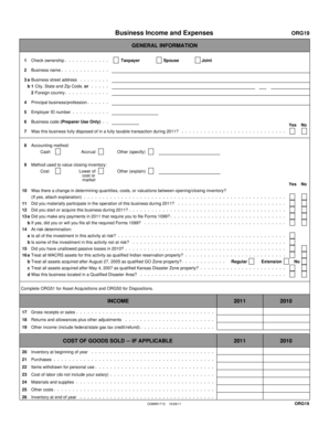 US Business Income and Expenses Form ORG19