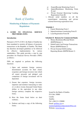 Bank of Zambia Export/Import Monitoring Form