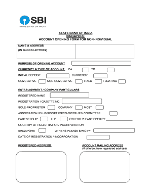 State Bank of India Non-Individual Account Opening Form