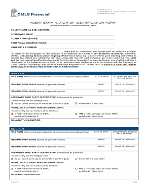 Agent Examination of Identification Form