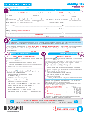 Georgia Assurance Wireless Application