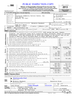 Form 990 2013