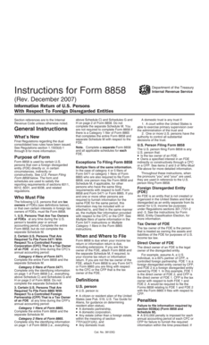 Form 8858 Instructions