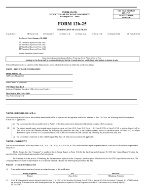 Fillable Online x Form 10-K Fax Email Print - pdfFiller