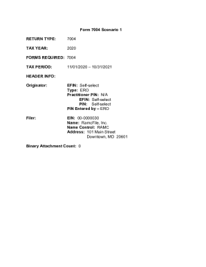 7004 Test Scenario 1 for tax year 2020 - IRS