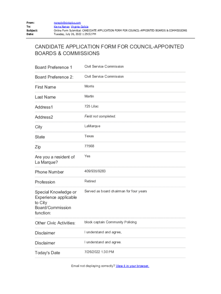 Form preview