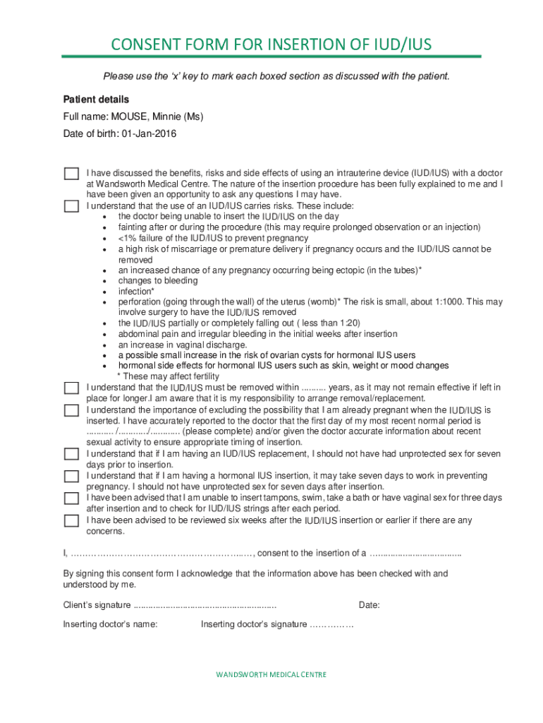 Form preview
