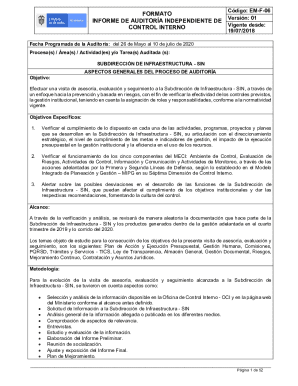 FORMATO INFORME DE AUDITORA INDEPENDIENTE ...