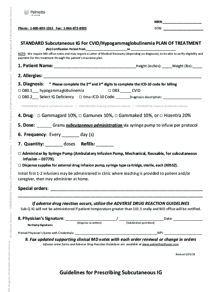 Palmetto Infusion Services Company Profile Preview on Page 1