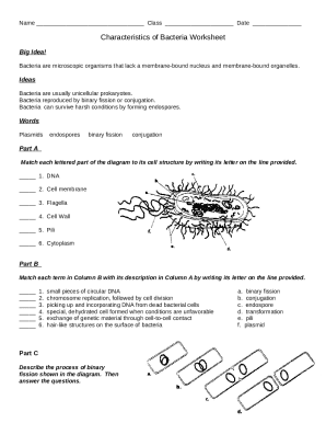 An Introduction To CellsA-Level Biology Revision Notes