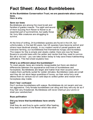 DAY THREE AND FOUR - Fact Sheet: About Bumblebees