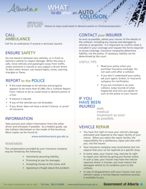 Auto Collision Report Form