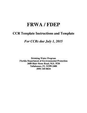 Florida Consumer Confidence Report Template