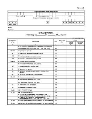 Serbian Business Profit and Loss Statement