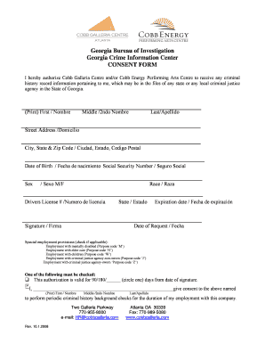 Georgia Criminal History Consent Form