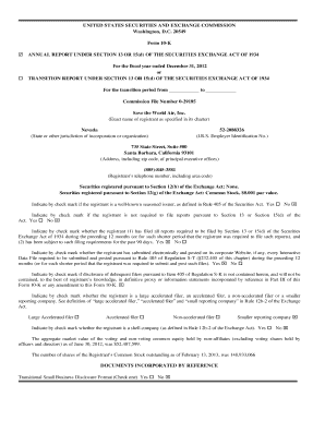 Form 10-K Annual Report