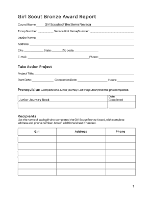 Girl Scout Bronze Award Report