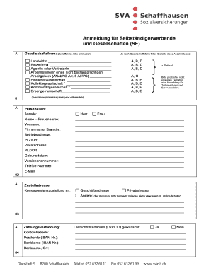 Anmeldung für Selbständigerwerbende und Gesellschaften (SE)