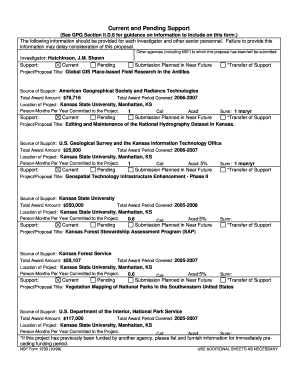 Current and Pending Support Form