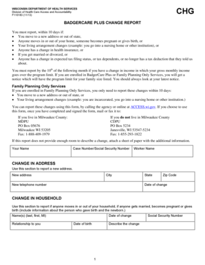 BadgerCare Plus Change Report