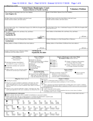 US Bankruptcy Voluntary Petition Form