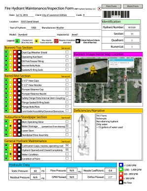 Form preview picture