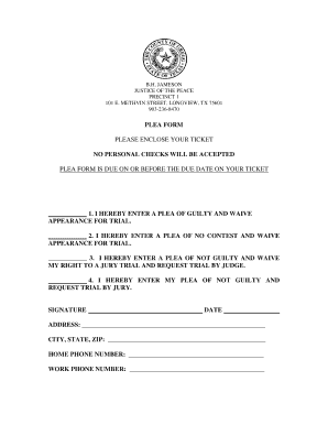 Texas Plea Form