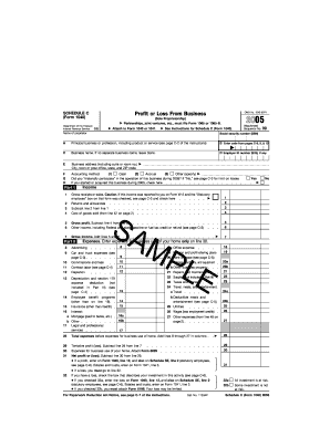Schedule C (Form 1040) Profit or Loss From Business