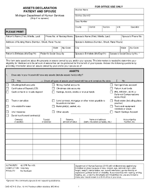 Michigan Medicaid Assets Declaration Form