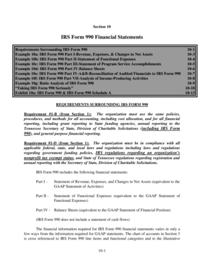 IRS Form 990 Financial Statements
