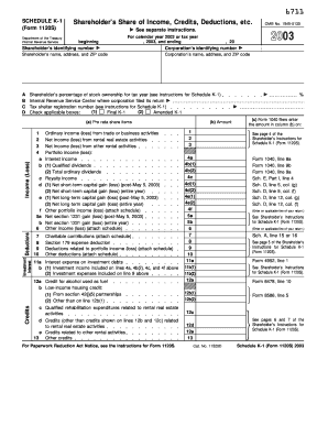 Schedule K-1 Shareholder's Income Form
