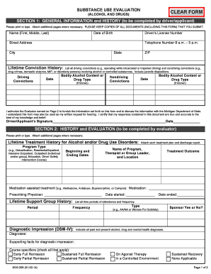 Michigan Substance Use Evaluation Form