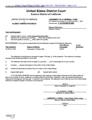 US Federal Criminal Judgment Form