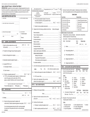California Adoption Program Individual Case Report