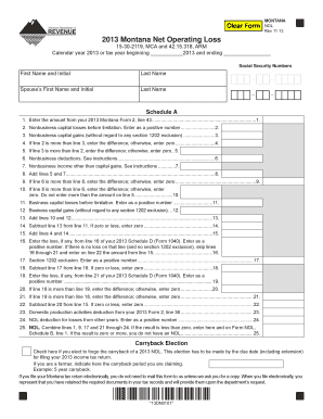 2013 Montana Net Operating Loss Form