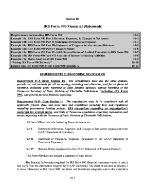 IRS Form 990 Financial Statements