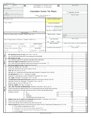 Puerto Rico Corporation Income Tax Return Form 480.20