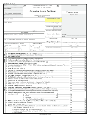 Formulario 480.20 de Declaración de Ingresos Corporativos de Puerto Rico
