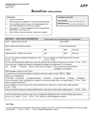 BadgerCare Plus Application Form