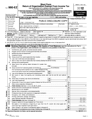 Form 990-EZ Tax Return