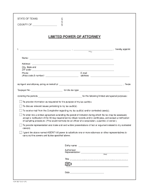 Texas Limited Power of Attorney for Tax Audit
