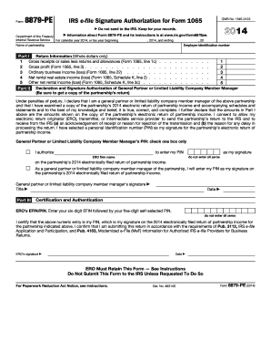 IRS Form 8879-PE Signature Authorization