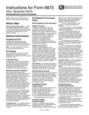 Instructions for Form 8873