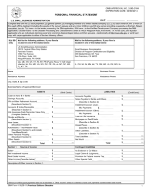 US Small Business Administration Personal Financial Statement