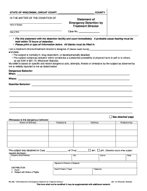 Wisconsin Emergency Detention Statement