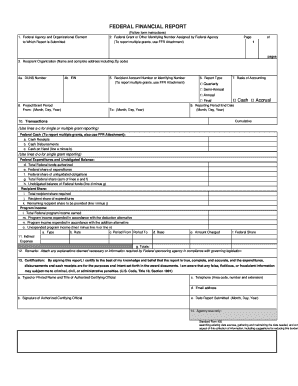 Federal Financial Report Form