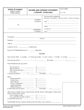 Hawaii Family Court Income and Expense Statement